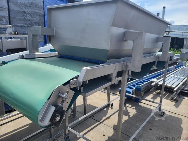 Belt conveyor with buffer 0.8m x 3.6m przenośnik taśmowy z buforem