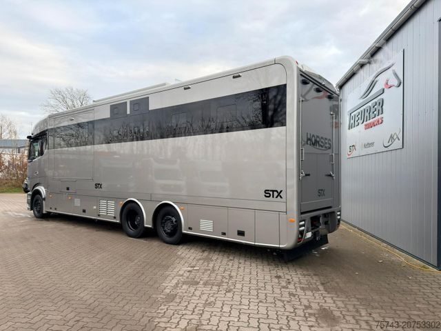 Viehtransporter LKW MERCEDES-BENZ 2653 STX 5 Pferde DOP. POP-OUT+POP-UP EXKLUSIVE