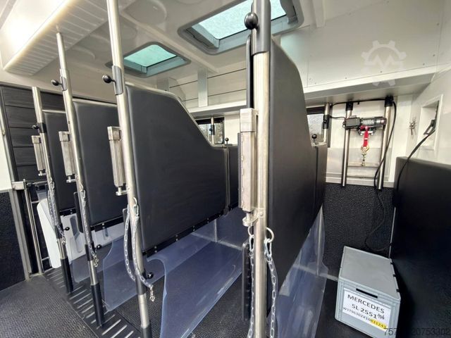 Viehtransporter LKW MERCEDES-BENZ 2653 STX 5 Pferde DOP. POP-OUT+POP-UP EXKLUSIVE