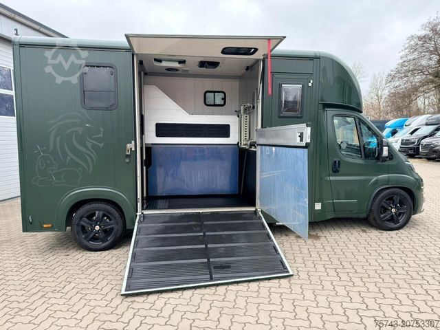 Viehtransporter FIAT Ducato EXKLUSIVE Hengstmodel