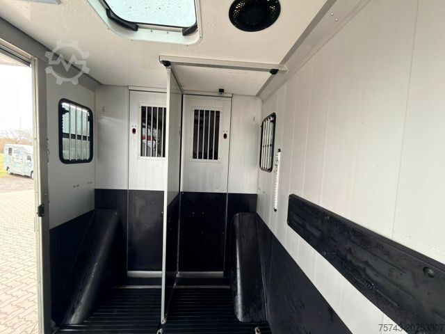 Viehtransporter FIAT Ducato  EXKLUSIVE Hengstmodel
