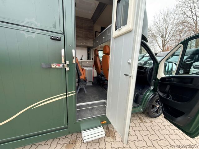 Viehtransporter FIAT Ducato  EXKLUSIVE Hengstmodel