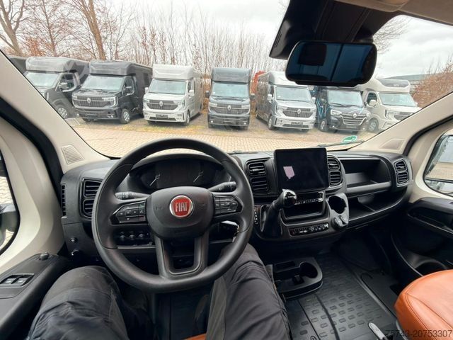 Viehtransporter FIAT Ducato EXKLUSIVE Hengstmodel