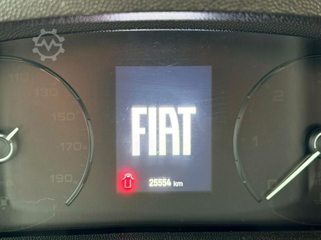 Viehtransporter FIAT Ducato  EXKLUSIVE Hengstmodel