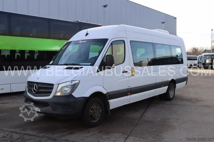 Kleinbus Mercedes-Benz Sprinter
