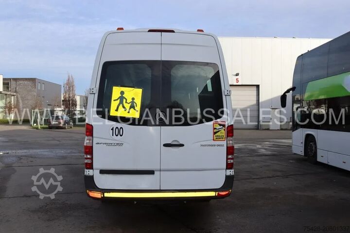 Kleinbus Mercedes-Benz Sprinter