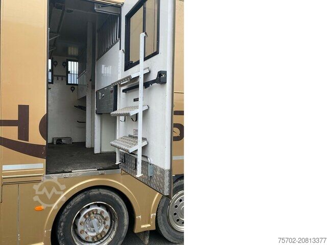 Viehtransporter LKW MAN TGS 26480 5 Pferde und Wohnung