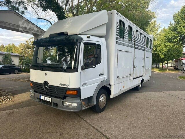 Van Mercedes-Benz 817 2-4 Pferde