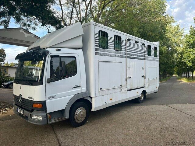 Van Mercedes-Benz 817 2-4 Pferde