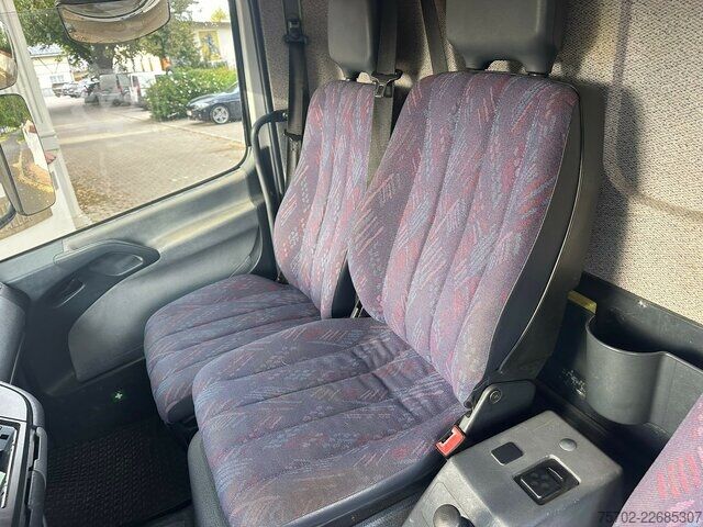 Van Mercedes-Benz 817 2-4 Pferde