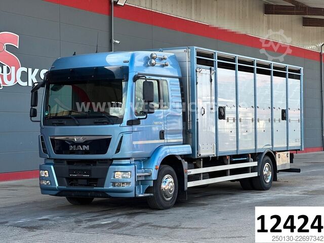 Viehtransporter LKW MAN TGM 15.290 1 Stock Köstner Viehaufbau