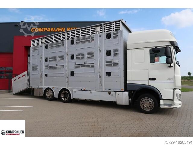 Viehtransport DAF XF 510 Super Space Cab