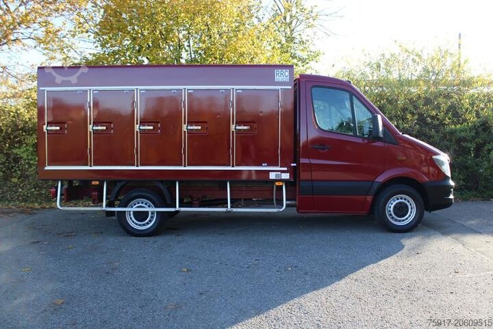 Kühltransporter MERCEDES-BENZ Sprinter 310 Cold Car -33°C ATP 05/29 Euro 6
