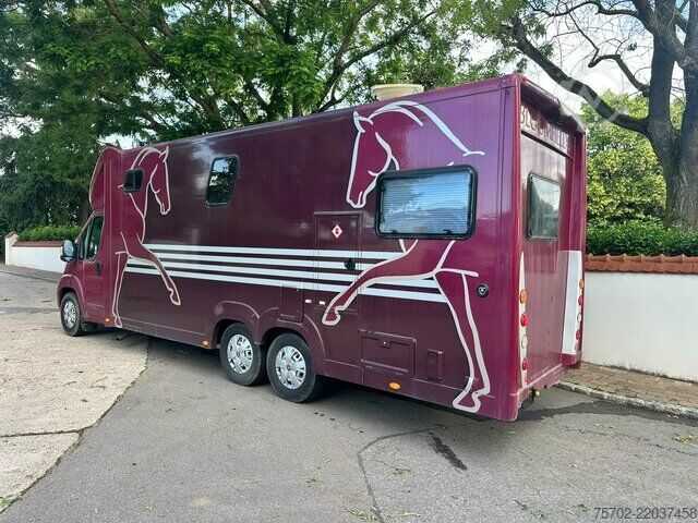 Van Fiat Ducato Bloomfields 1-2 Pferde Wohnung