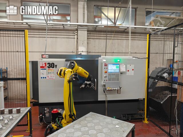 HAAS DS30Y HAAS DS30Y
