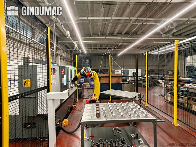 HAAS DS30Y HAAS DS30Y