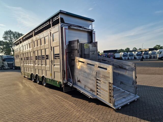 Cattle transport Pezzaioli SBA31 SR - NEW - 3+4 Floor - lift axle - liftin...