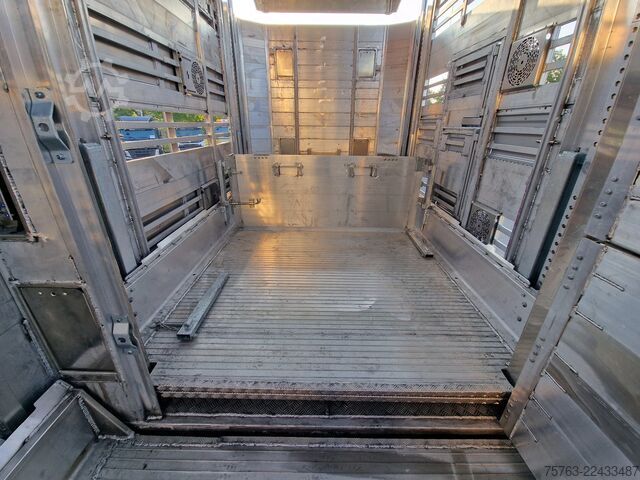 Cattle transport Pezzaioli SBA31 SR - NEW - 3+4 Floor - lift axle - liftin...