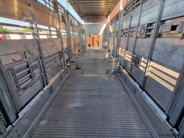 Cattle transport Pezzaioli SBA31 SR - NEW - 3+4 Floor - lift axle - liftin...
