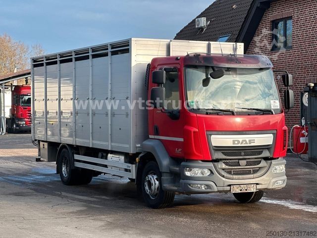 Cattle truck DAF LF 280 4x2 BL 1.Stock Viehwagen ACC LDW CAM
