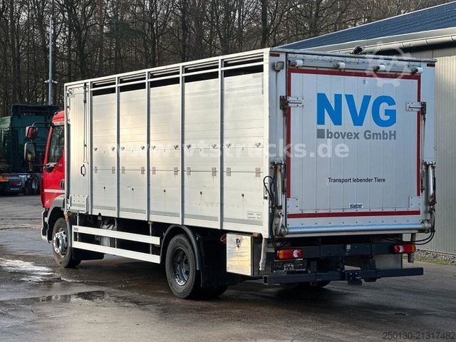 Cattle truck DAF LF 280 4x2 BL 1.Stock Viehwagen ACC LDW CAM