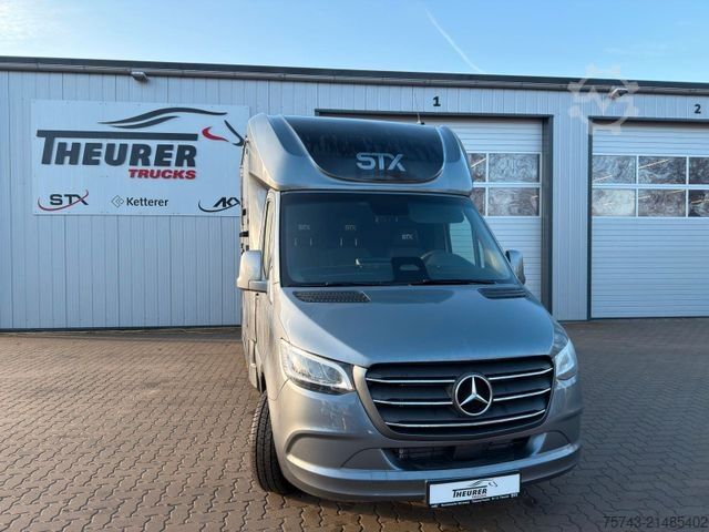 Viehtransporter MERCEDES-BENZ STX Sprinter  3.500KG  Haras Hengste