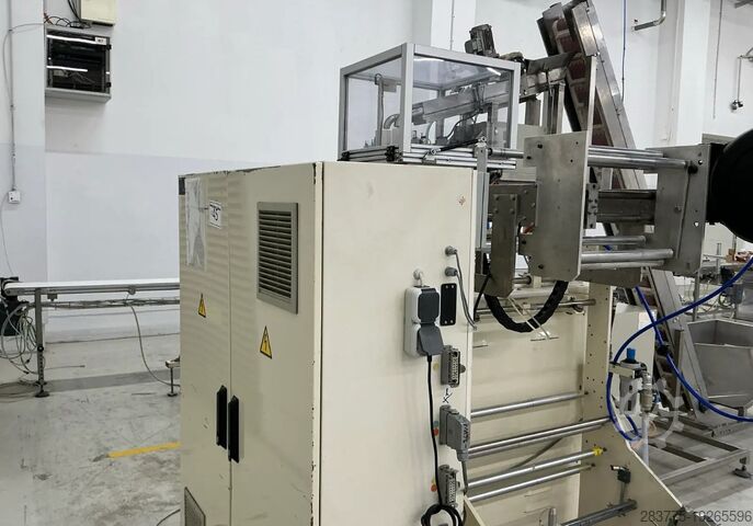 VFFS Rovema VPR 250