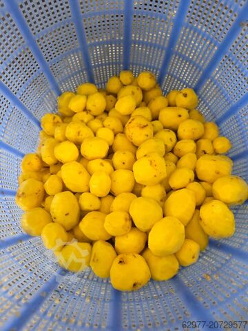 Full stainless steel, food grade Kronitek AE-KPM500