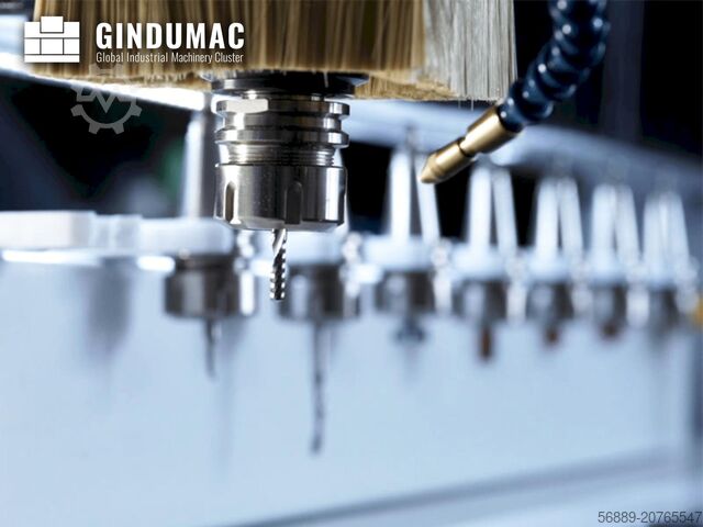 Gantry-Fräsmaschine T-Rex Servo-0609