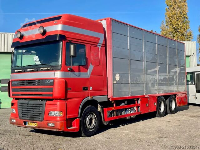 Viehtransport DAF XF 95.430 BERDEX  3 decks.  Water, fans, Scales...