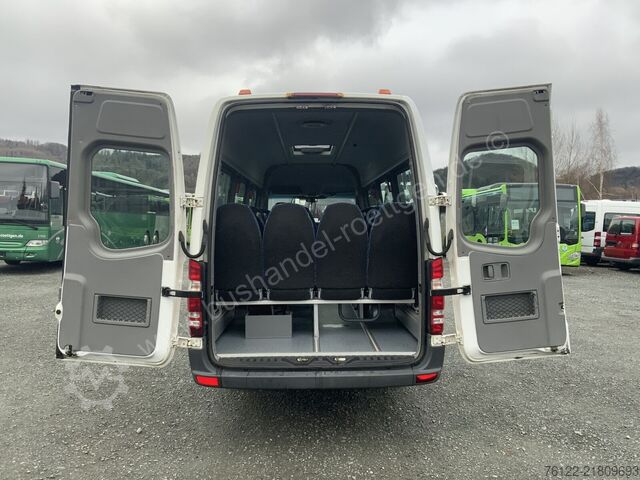 Passenger transport Mercedes-Benz Transfer 45