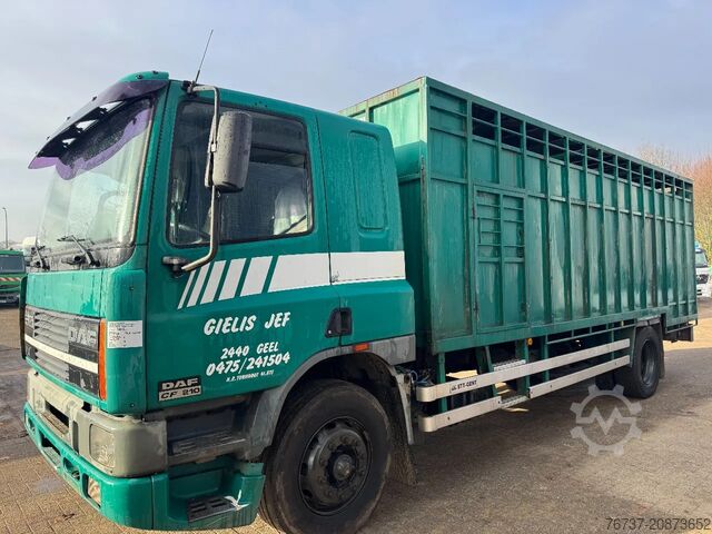 Koffer DAF 65.210 **BELGIAN TRUCK-FULL STEEL**