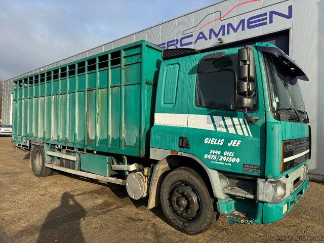 Koffer DAF 65.210 **BELGIAN TRUCK-FULL STEEL**