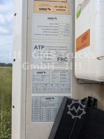 Kühlauflieger SCHMITZ CARGOBULL Frigo Thermo King / Multi Temp / DS