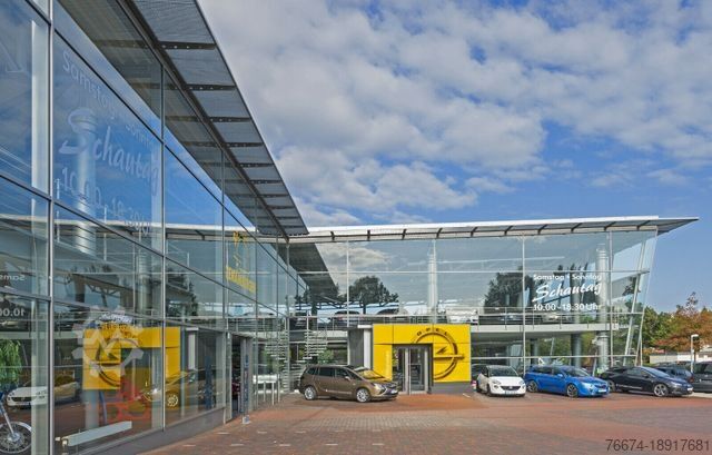 Kastenwagen RENAULT Trafic Kasten L2H1 3,0t Komfort Klima LED AHK