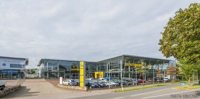 Kastenwagen RENAULT Trafic Kasten L2H1 3,0t Komfort Klima LED AHK