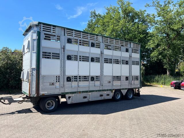 Cattle transport Pezzaioli RBA31G Livestock 1/2/3