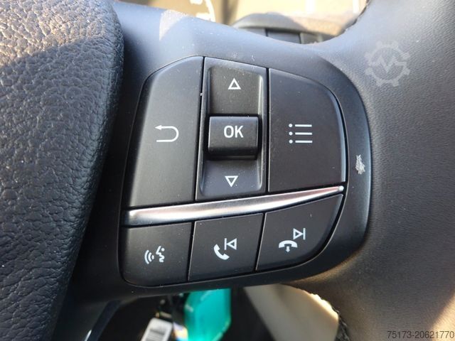 Tipper van FORD Transit 350L3 EinzelKab Kipper Winterd. Schild