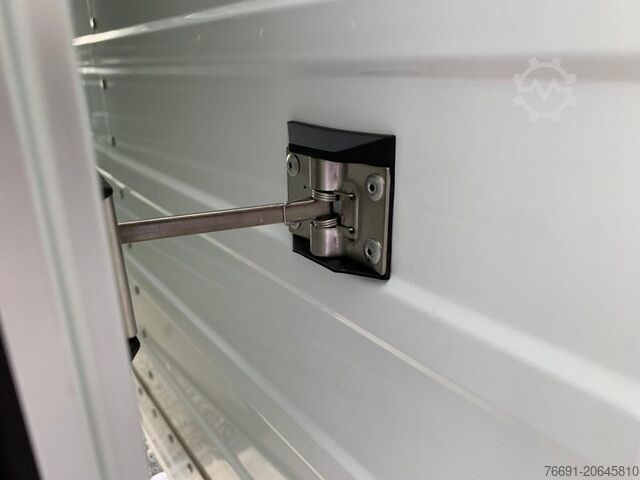 Kastenwagen Ford Transit 350 Furgone in Lega - PRONTA CONSEGNA