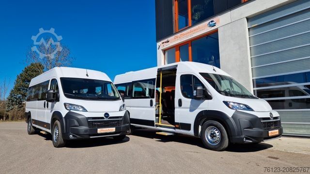 Kleinbus FIAT 1x Ducato 1x Opel Movano 18 SS in Stock