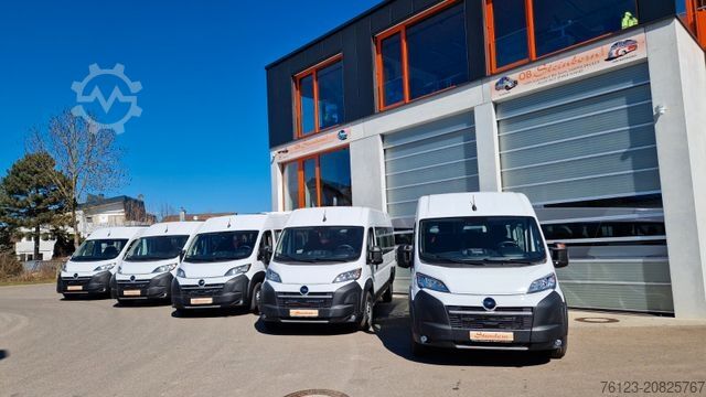 Kleinbus FIAT 1x Ducato 1x Opel Movano 18 SS in Stock