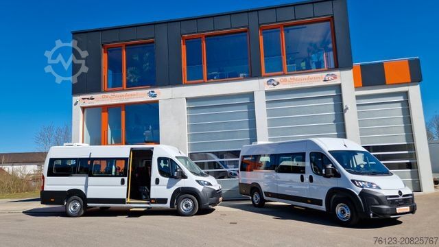 Kleinbus FIAT 1x Ducato 1x Opel Movano 18 SS in Stock