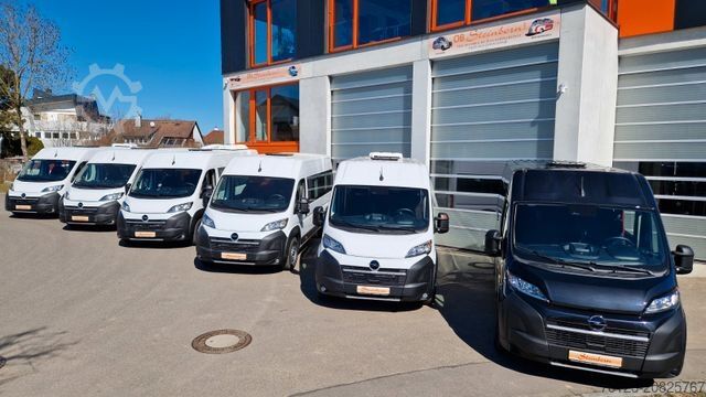 Kleinbus FIAT 1x Ducato 1x Opel Movano 18 SS in Stock