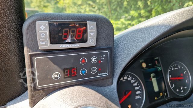 Kleinbus MERCEDES-BENZ 319 Sprinter VIP Shuttle 9 Sitzer Panoramadach