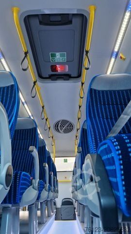 Stadtbus IVECO Daily C 70 City Niederflur 34 PAX auch als CNG