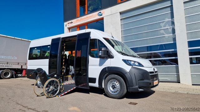 Kleinbus FIAT Frontniederflur Ducato Movano Boxer Sprinter