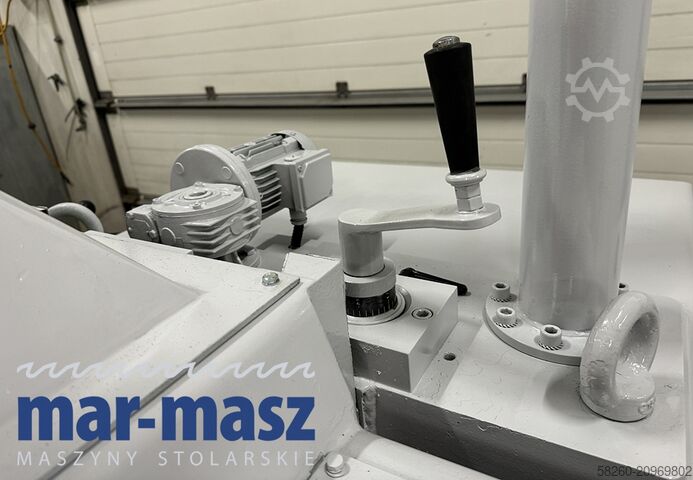 Single-shaft gang rip saw with chain feed A.COSTA Lince 1/R/370