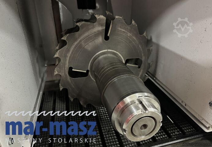 Single-shaft gang rip saw with chain feed A.COSTA Lince 1/R/370