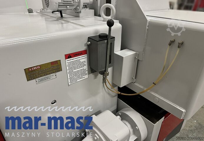 Single-shaft gang rip saw with chain feed A.COSTA Lince 1/R/370