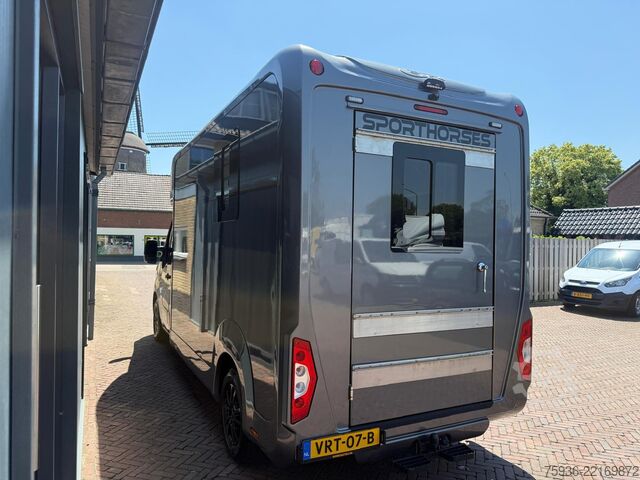 Horse transportation Renault Master STX S3 Paardenwagen Hengsten uitvoering ...